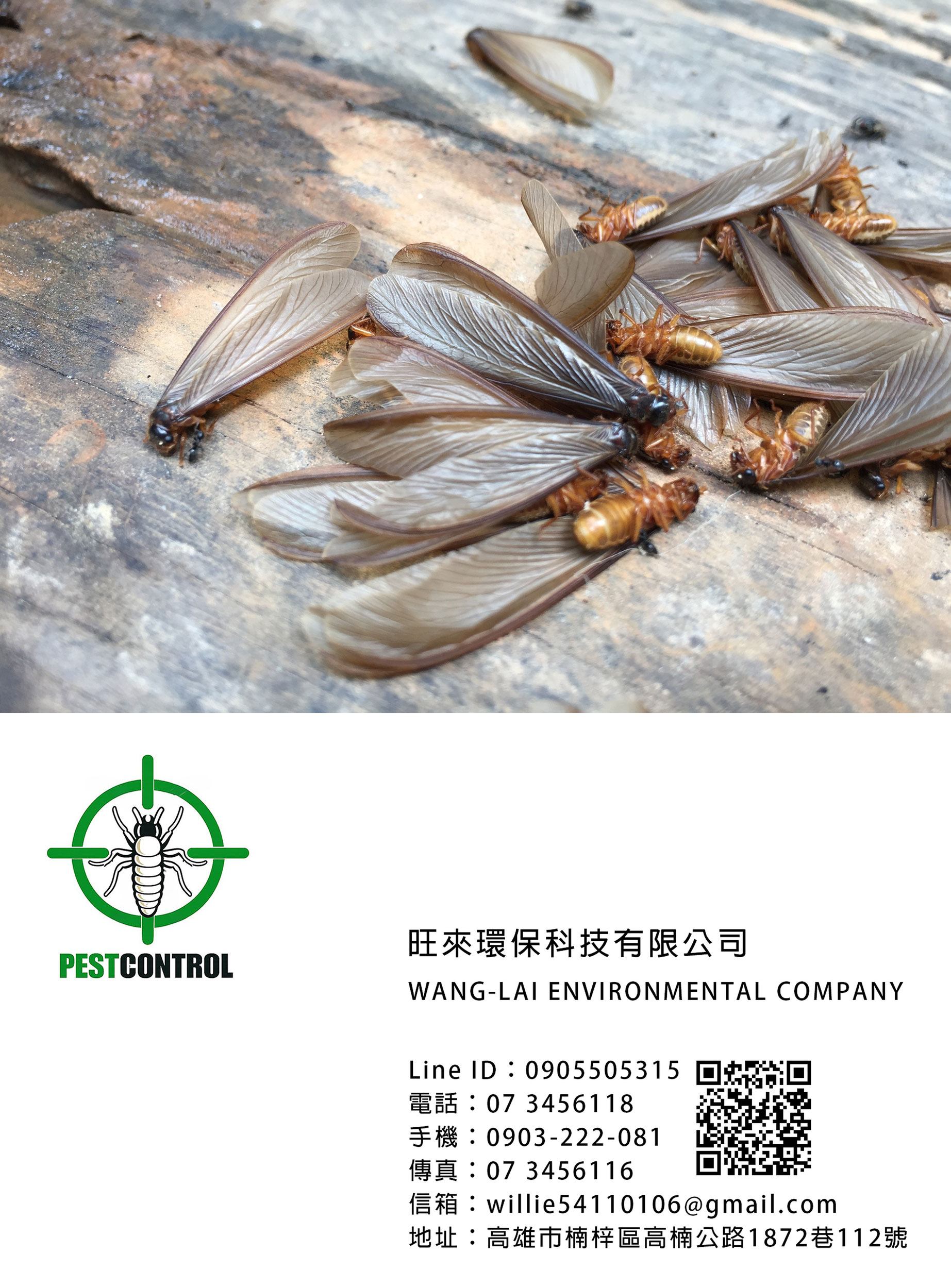 1774297155205302.jpg 1774292428882.jpg